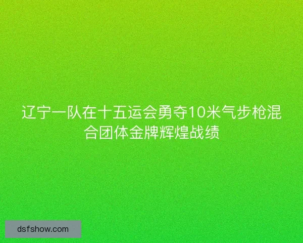 辽宁一队在十五运会勇夺10米气步枪混合团体金牌辉煌战绩